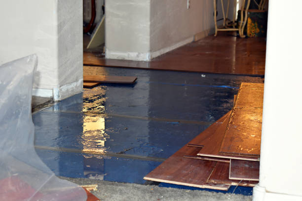 Professional Basement Flood Cleanup technician working in Minot, ME